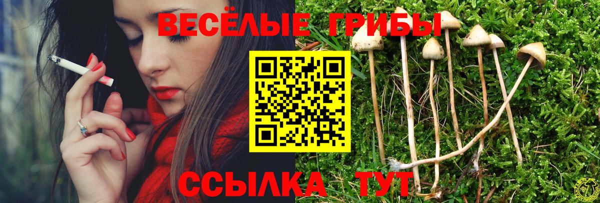 Галлюциногенные грибы Cubensis  Галлюциногенные грибы Psilocybine cubensis  Заречный  где купить наркотик  Вход с VPN 